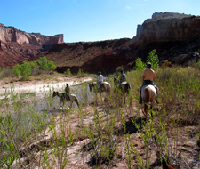 USA-Utah-Colorado Plateau - Capitol Reef Ride